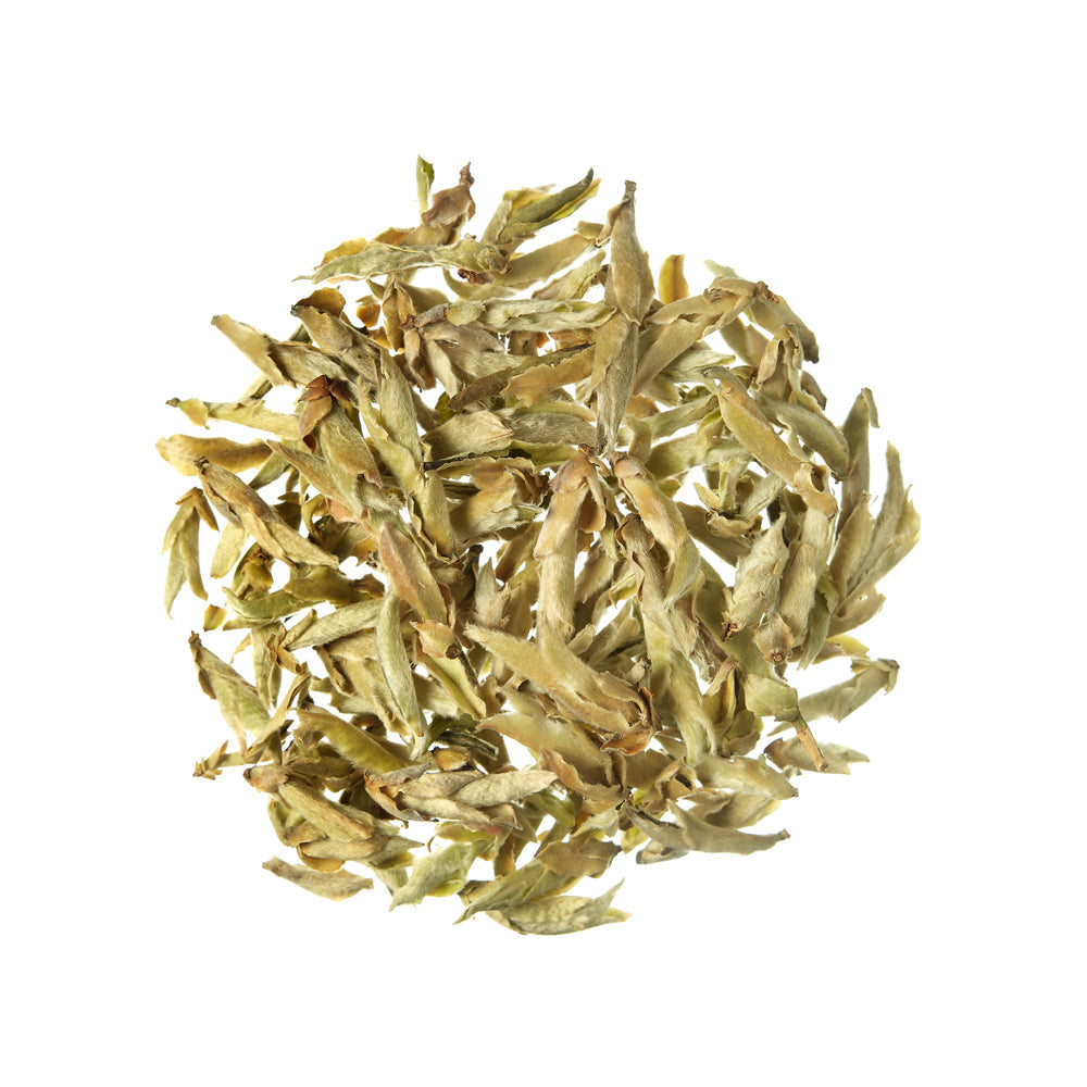 Té blanco Ya Bao Silver Buds Té blanco China - 100 g