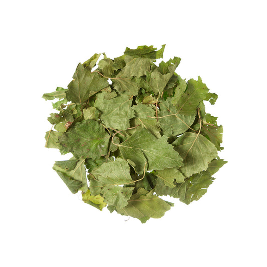 Abedul orgánico - 100 g